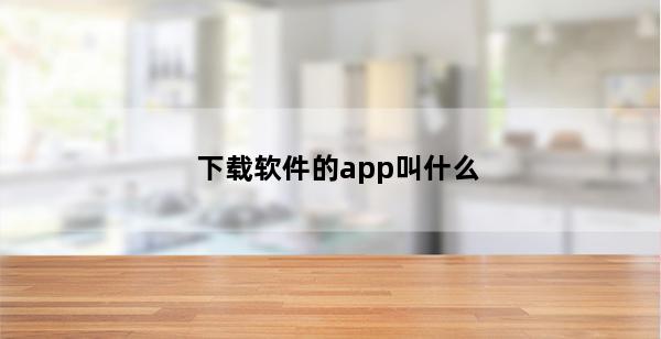 下载软件的app叫什么(电脑上下载软件的app叫什么)